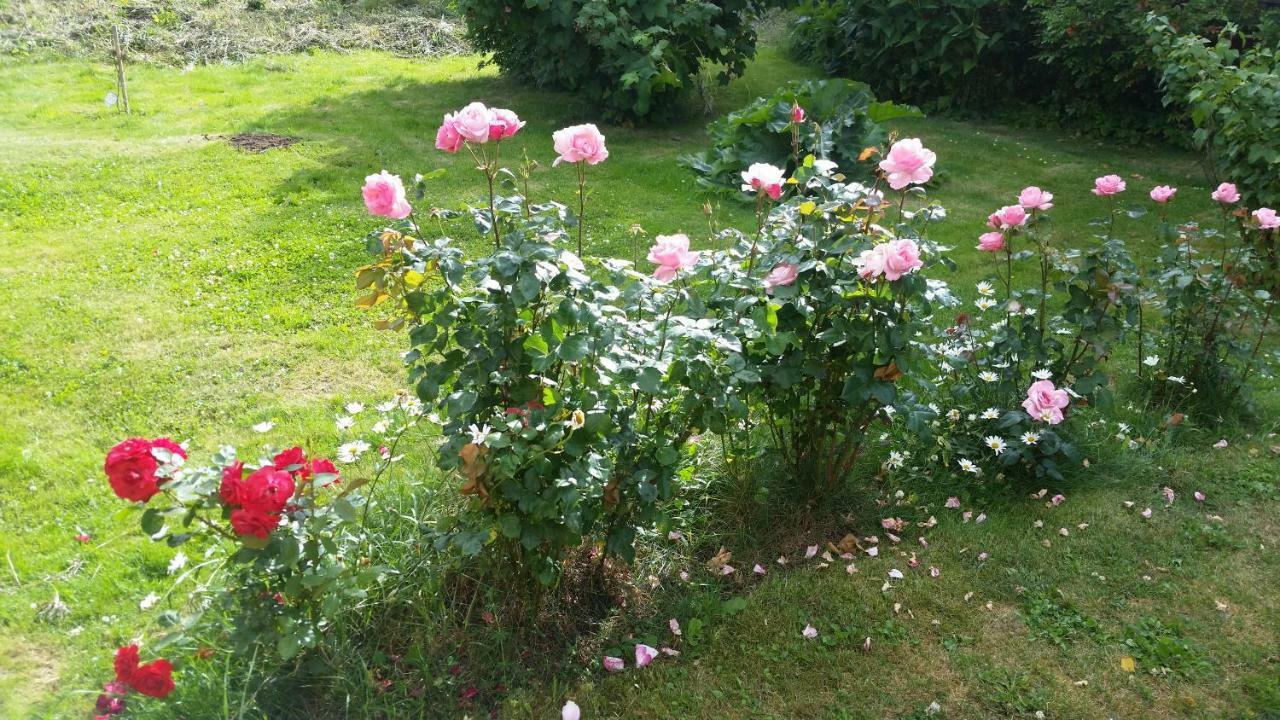 Kinne-Vedum Bed And Breakfast Götene Esterno foto